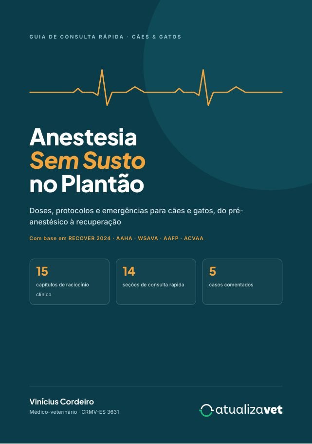 Capa: Anestesia Sem Susto no Plantão